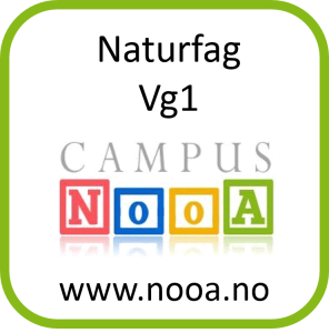 Campus NooA