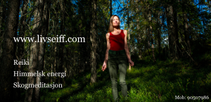 Reiki med Liv Seiff - reiki helt enkelt