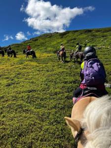 Spåtind fjellridning