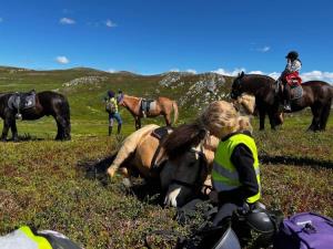 Spåtind fjellridning